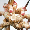 Thai Massage Herbs: Galangal