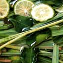 Thai Massage Herbs: Kaffir Lime
